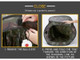 WoSport Pop Up Tent Airsoft Gun Slingshot Portable Target in Camouflage