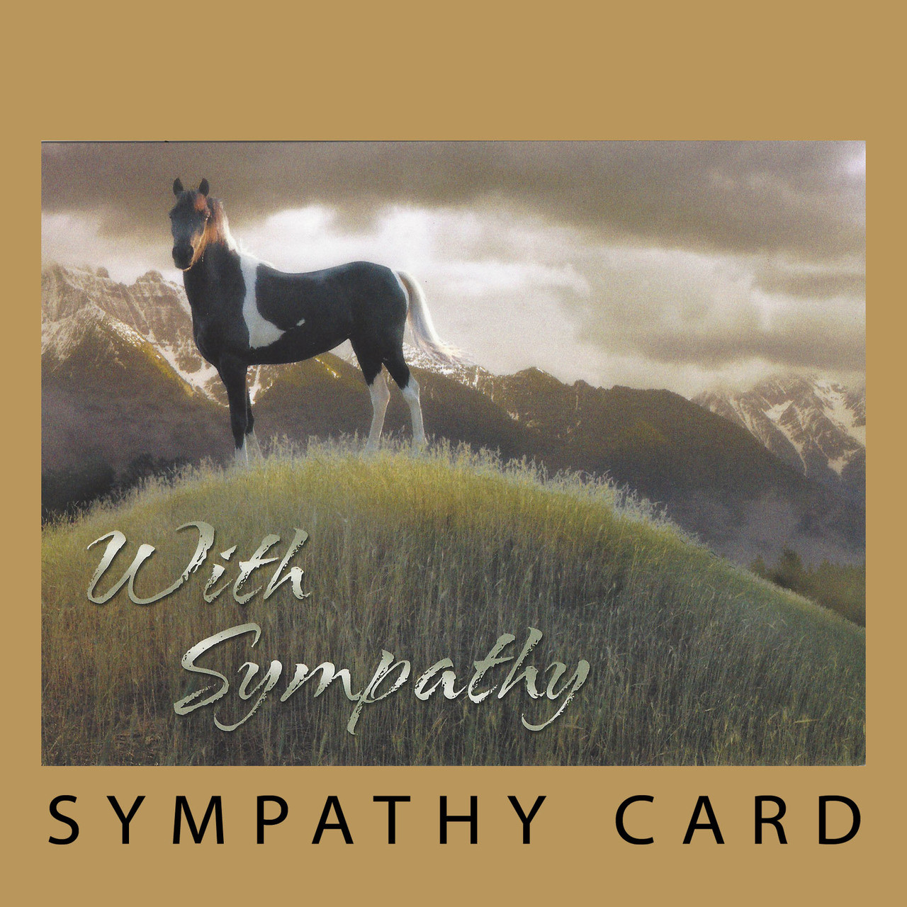 WITH SYMPATHY - NOT GONE JUST WAITING PATIENTLY AT THE END OF