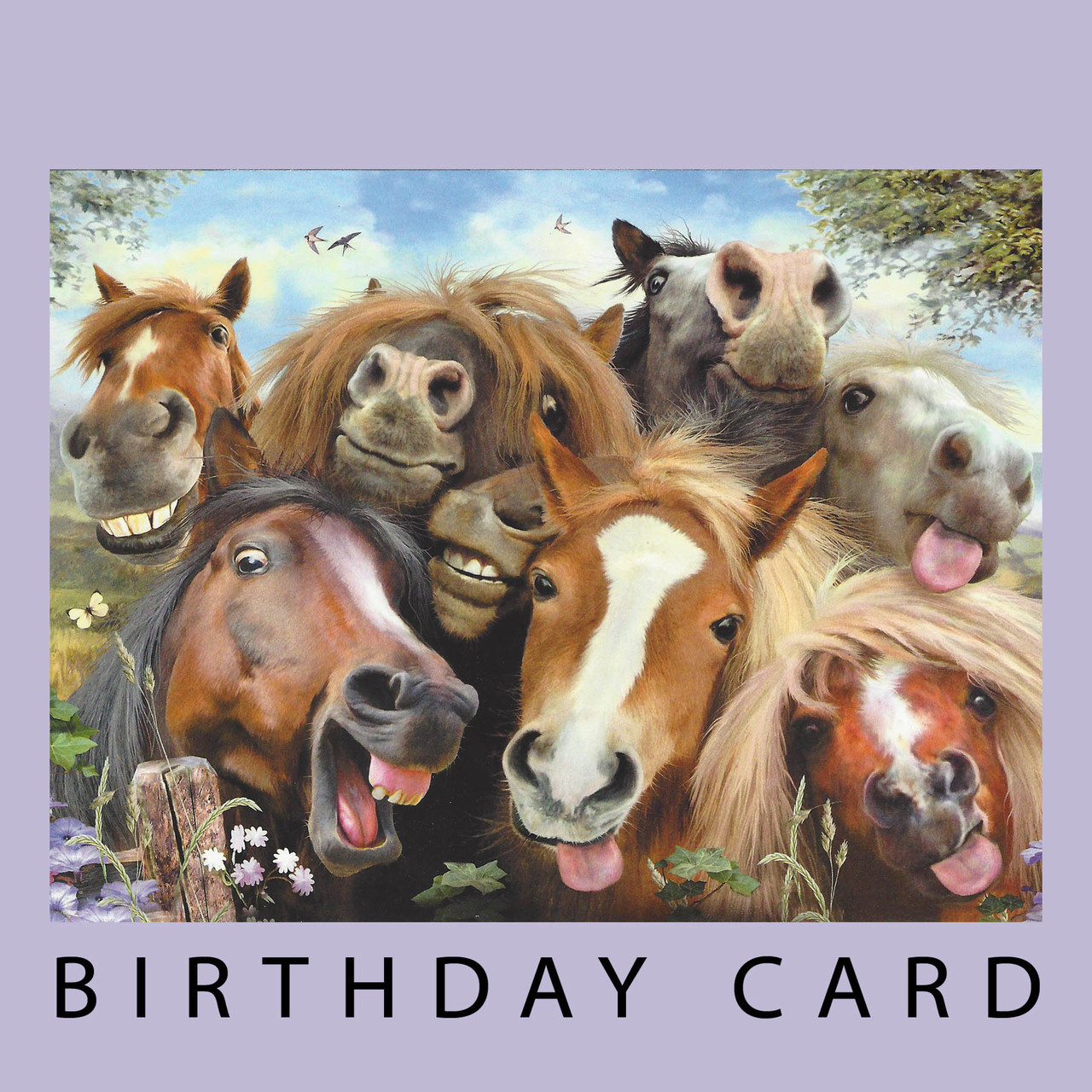 Birthday Cards With Horses Card Design Template Birthday Cards With Horses Card Design Template