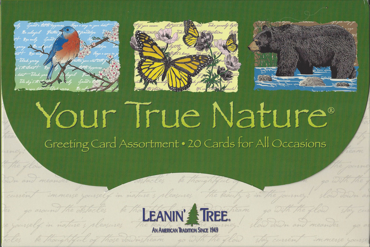 YOUR TRUE NATURE GREETING CARD ASSORTMENT - Horse Play