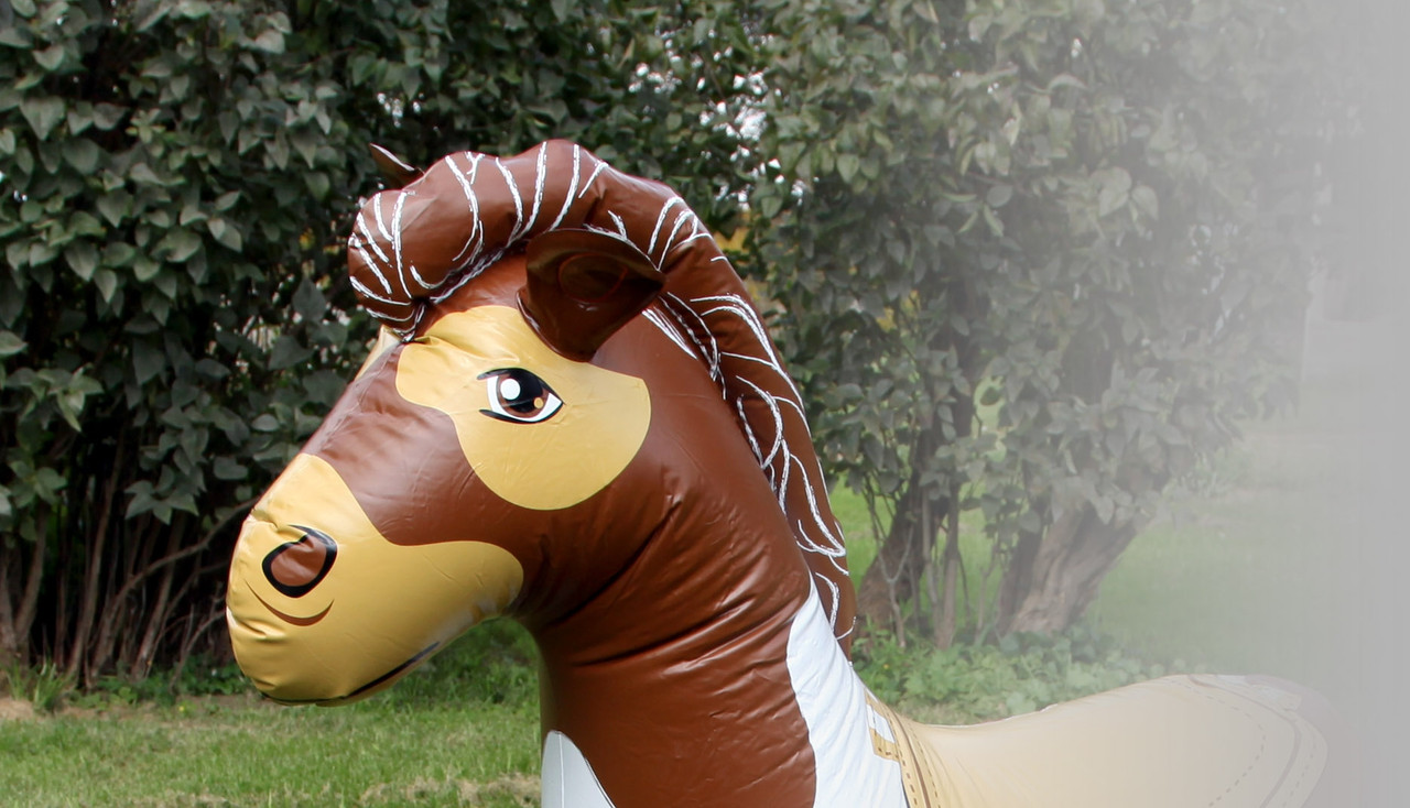 Inflatable Horses