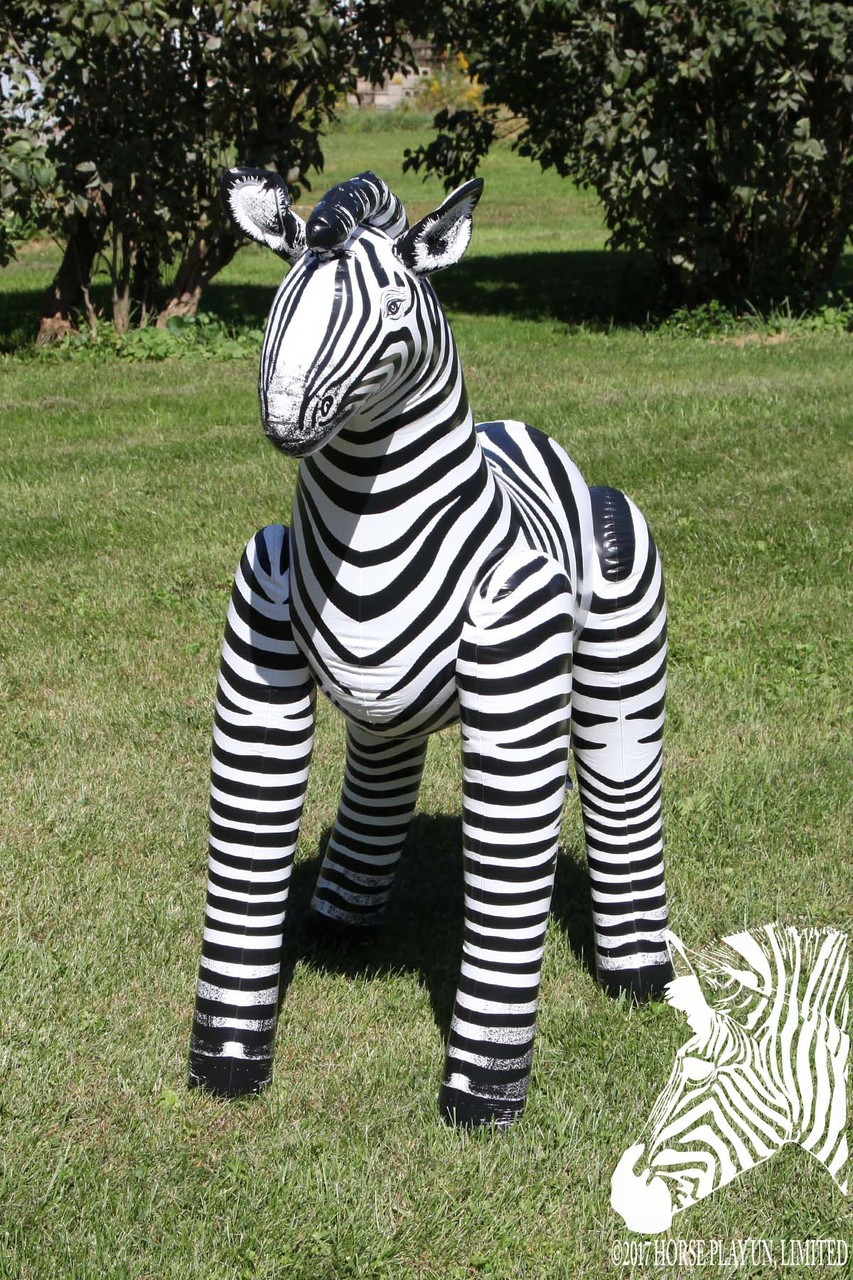Madagascar Zebra Inflatable 56