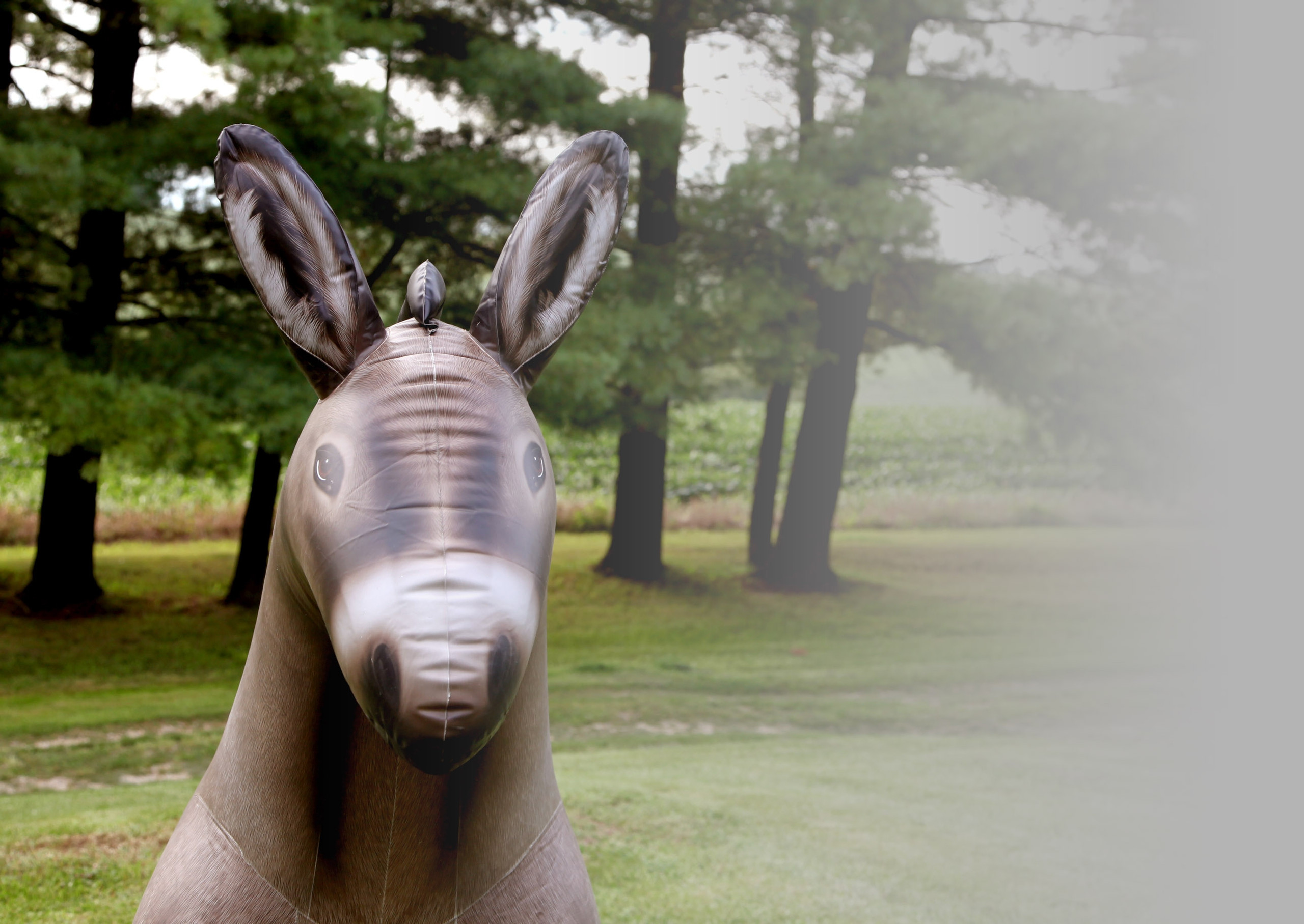 Donkeys/Mules Inflatable Donkeys/Mules Horse Play