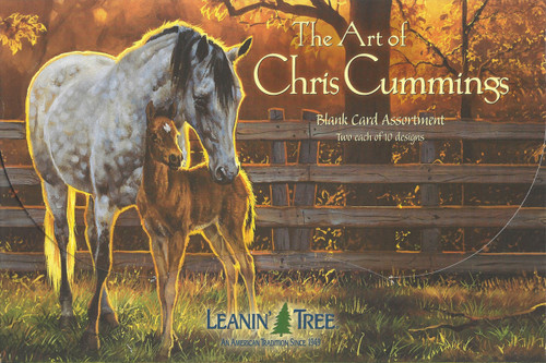 The Art Of Chris Cummings Blank Card Assortment By Leanin' Tree - Front