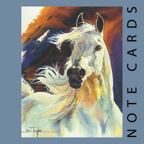 Proud Arabian by Jan Taylor Note Cards by Leanin' Tree - Square