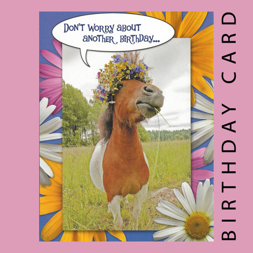 Don't Worry About Another Birthday Birthday Card by Leanin' Tree - Square