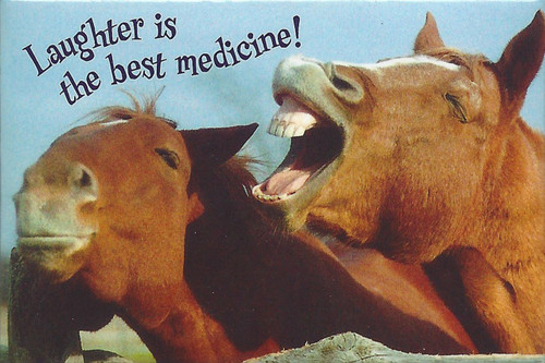 Laughter Is The Best Medicine! Magnet by Leanin' Tree