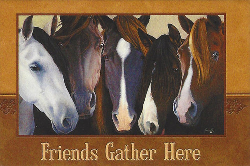 Friends Gather Here Magnet by Leanin' Tree