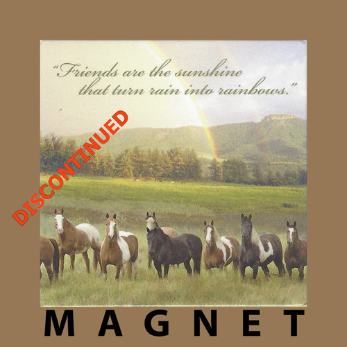 Friends Are The Sunshine... Magnet by Leanin' Tree