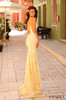 Amarra 88819 Prom Dress