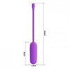Pretty Love Joyce Purple Bullet vibrator