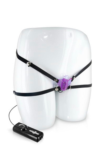 The crazy butterfly purple