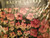 Sferra for Ralph Lauren Abagail Floral Queen Duvet Cover Set 