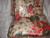 Ralph  Lauren Post Road Floral  8Pc  Queen  Duvet  Comforter Cover Set New