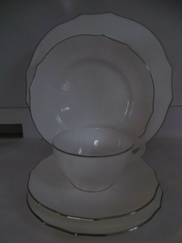 Richard Ginori Duchessa  Embossed Virginia Bone White Platinum 