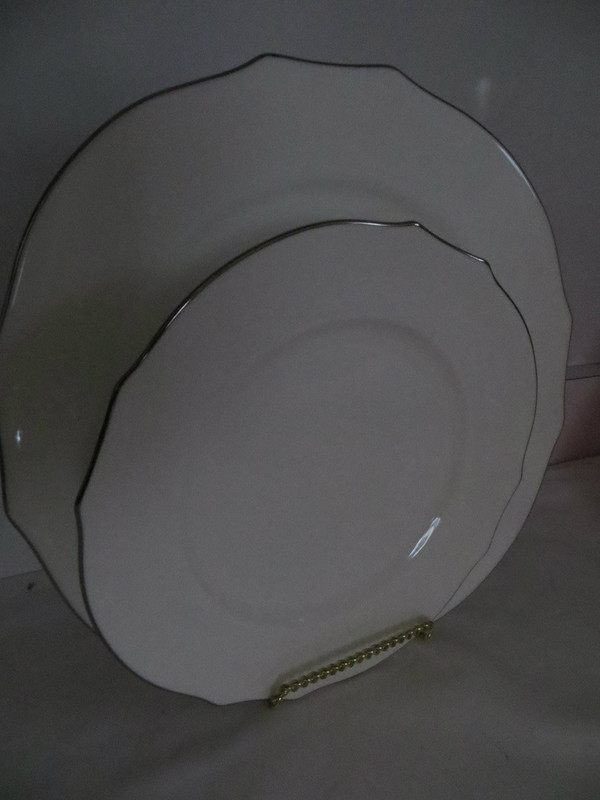 Richard Ginori Duchessa  Embossed Virginia Bone White Platinum 