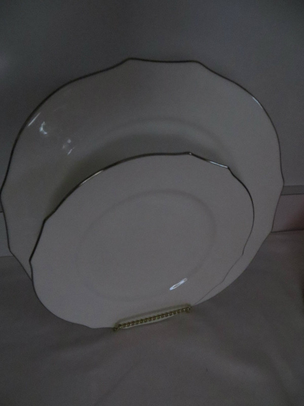 Richard Ginori Duchessa  Embossed Virginia Bone White Platinum 