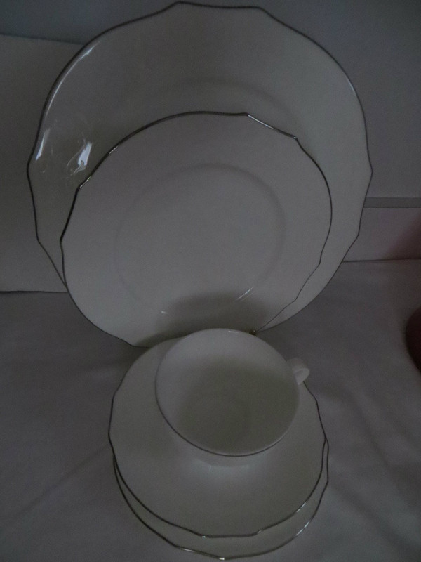 Richard Ginori Duchessa  Embossed Virginia Bone White Platinum 