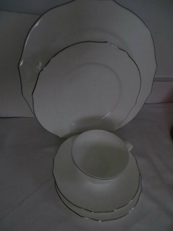 Richard Ginori Duchessa  Embossed Virginia Bone White Platinum 