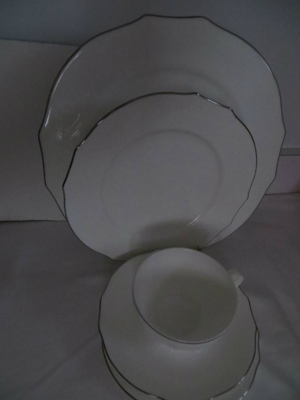 Richard Ginori Duchessa  Embossed Virginia Bone White Platinum 