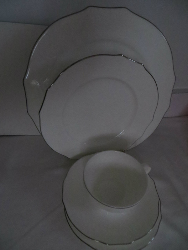 Richard Ginori Duchessa  Embossed Virginia Bone White Platinum 