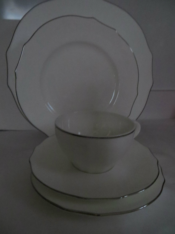 Richard Ginori Duchessa  Embossed Virginia Bone White Platinum 