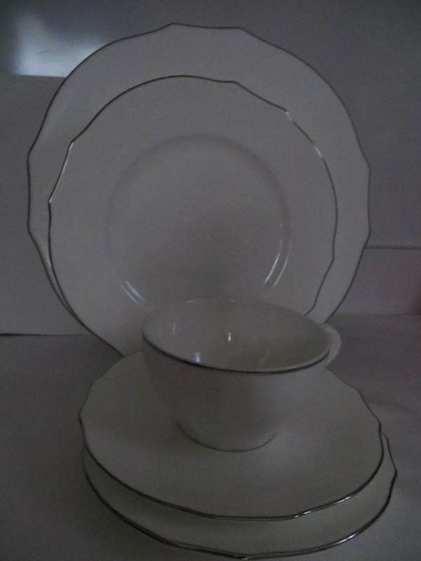 Richard Ginori Duchessa  Embossed Virginia Bone White Platinum 