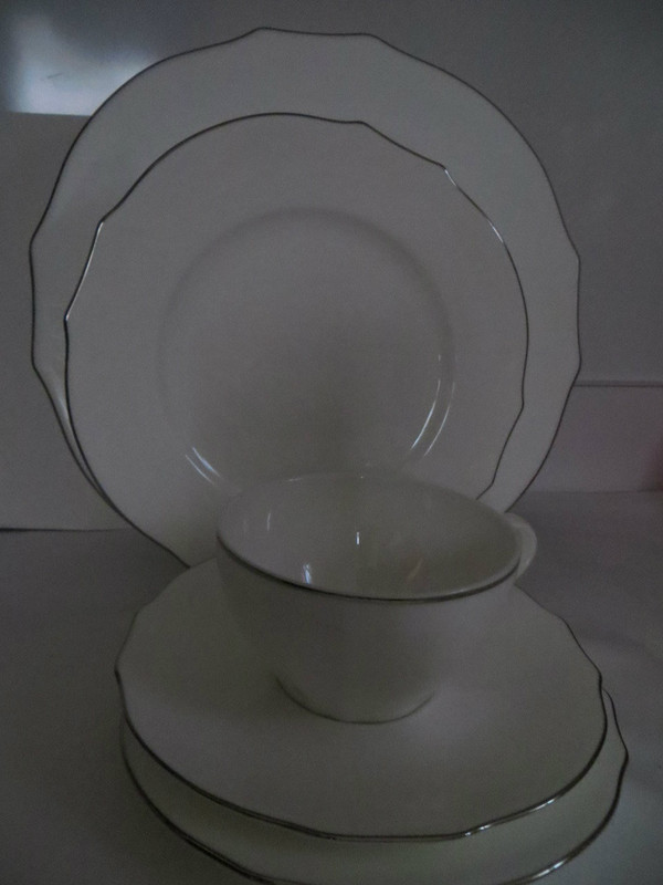 Richard Ginori Duchessa  Embossed Virginia Bone White Platinum 