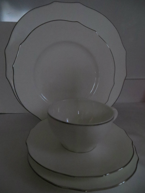 Richard Ginori Duchessa  Embossed Virginia Bone White Platinum 