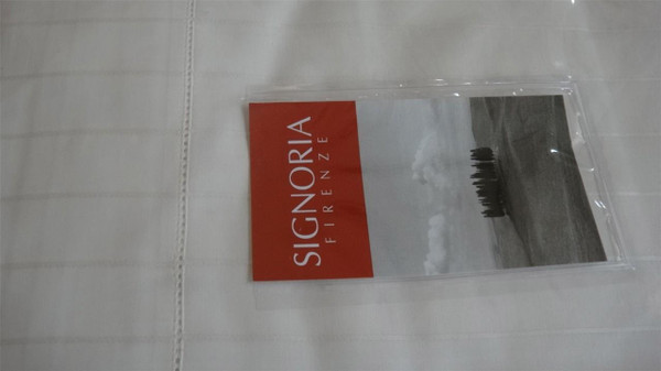 Signoria Firenze Raffaello Queen Flat Sheet  Ivory New 