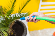 Enhancing Your Gardening Experience with Valencia-Made Hose Nozzles