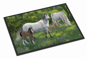 Equestrian Indoor or Outdoor Mat - 638508138637 Equestrian Indoor or Outdoor Mat - 638508138637