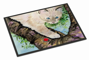 Cats by Suzanne Mat - 705332177764 Cats by Suzanne Mat - 705332177764