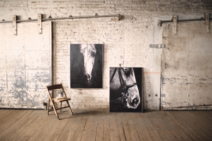 Oil Painting Black & White View Horse W Silver Frame - 841628101782 Oil Painting Black & White View Horse W Silver Frame - 841628101782