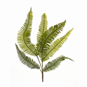 Fern Spray (Set of 6) 28"H Plastic - 746427853569 Fern Spray (Set of 6) 28"H Plastic - 746427853569