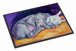 Animal Art Indoor or Outdoor Mat - 638508070760
