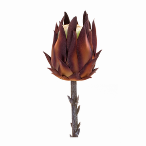 Protea Stem (Set of 6) 20"H Plastic - 746427856560 Protea Stem (Set of 6) 20"H Plastic - 746427856560