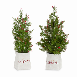 Potted Tree (Set of 2) 14.25"H, 16.5"H Plastic - 746427843430 Potted Tree (Set of 2) 14.25"H, 16.5"H Plastic - 746427843430