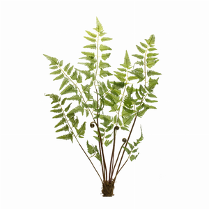 Fern Bundle (Set of 6) 37"H Polyester - 746427854214 Fern Bundle (Set of 6) 37"H Polyester - 746427854214