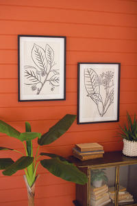 Set Of Two Framed Black Leaf Prints Under Glass - 841628172454 Set Of Two Framed Black Leaf Prints Under Glass - 841628172454