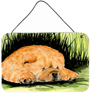 Chow Chow Art Wall or Door Hanging Prints - 615872629923 Chow Chow Art Wall or Door Hanging Prints - 615872629923