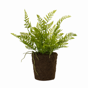 Potted Fern Bush (Set of 2) 15"H Plastic - 746427856881 Potted Fern Bush (Set of 2) 15"H Plastic - 746427856881