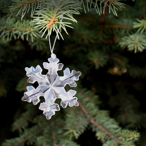 Snowflake Ornament - 787014229381 Snowflake Ornament - 787014229381
