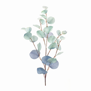 Eucalyptus Spray (Set of 6) 34"H Polyester - 746427854269 Eucalyptus Spray (Set of 6) 34"H Polyester - 746427854269