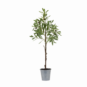 Potted Olive Tree 31.5"H Polyester - 746427853187 Potted Olive Tree 31.5"H Polyester - 746427853187