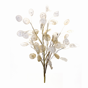 Silver Dollar Spray (Set of 6) 31.5"H Fabric - 746427851138 Silver Dollar Spray (Set of 6) 31.5"H Fabric - 746427851138