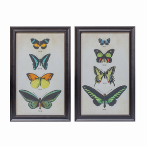 Framed Butterfly Print (Set of 2) 11.25"L x 18.25"H Wood/Glass - 746427853842