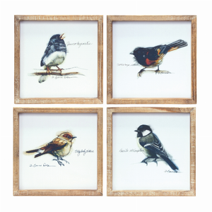 Framed Bird Print (Set of 4) 9.5"SQ MDF/Wood - 746427851718