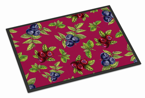 Fruits Art Indoor or Outdoor Mat - 638508656018