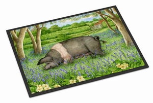 Pig Themed Indoor or Outdoor Mat - 638508177421